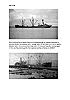 Greenland Bryde Research 07
