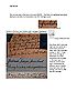 Greenland Bryde Research 19