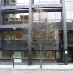 This is where 14 Crown Street would probably have been.<br > Crown Street and Sun Street are now both called Sun Street March 2008<br/> <br>Photo courtesy of Dave Simpson</br>