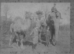 2 camels-1 Elephant - 3 Boys - Ilfracombe.jpg