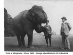George Albert Braham - Dixie - E H Bostock - Whipsnade- 9 sept 1932.jpg
